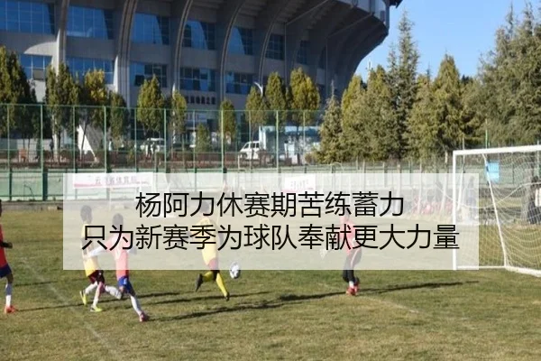 杨阿力休赛期苦练蓄力 只为新赛季为球队奉献更大力量